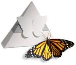 designer box with monarch
